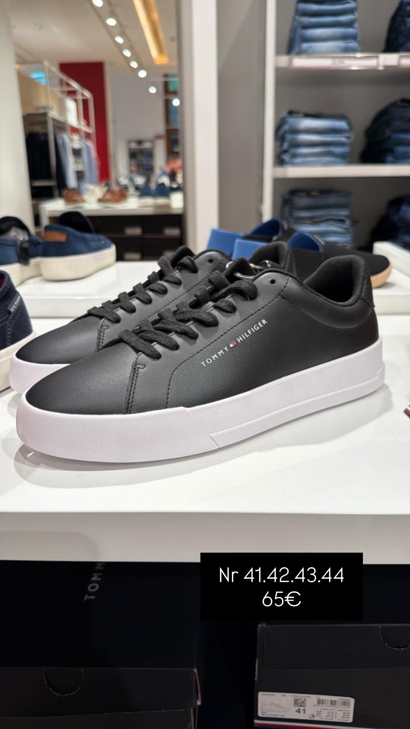 Atlete Tommy Hilfiger (MESHKUJ)(STOCK)