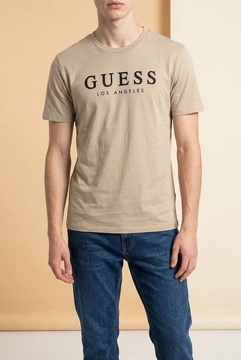 Tshirt Guess (MESHKUJ)(STOCK)