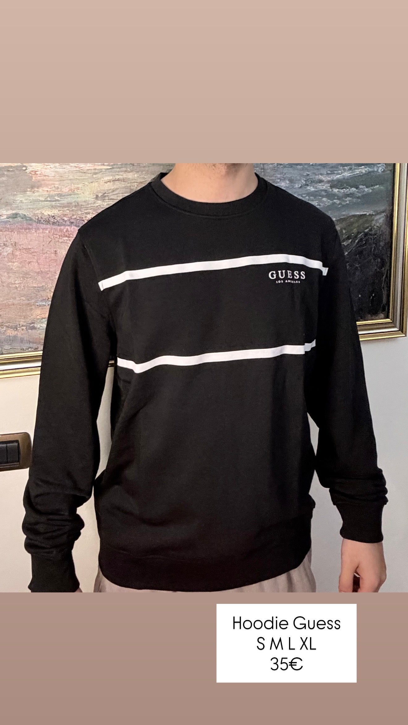 Hoodie Guess (MESHKUJ)(STOCK)