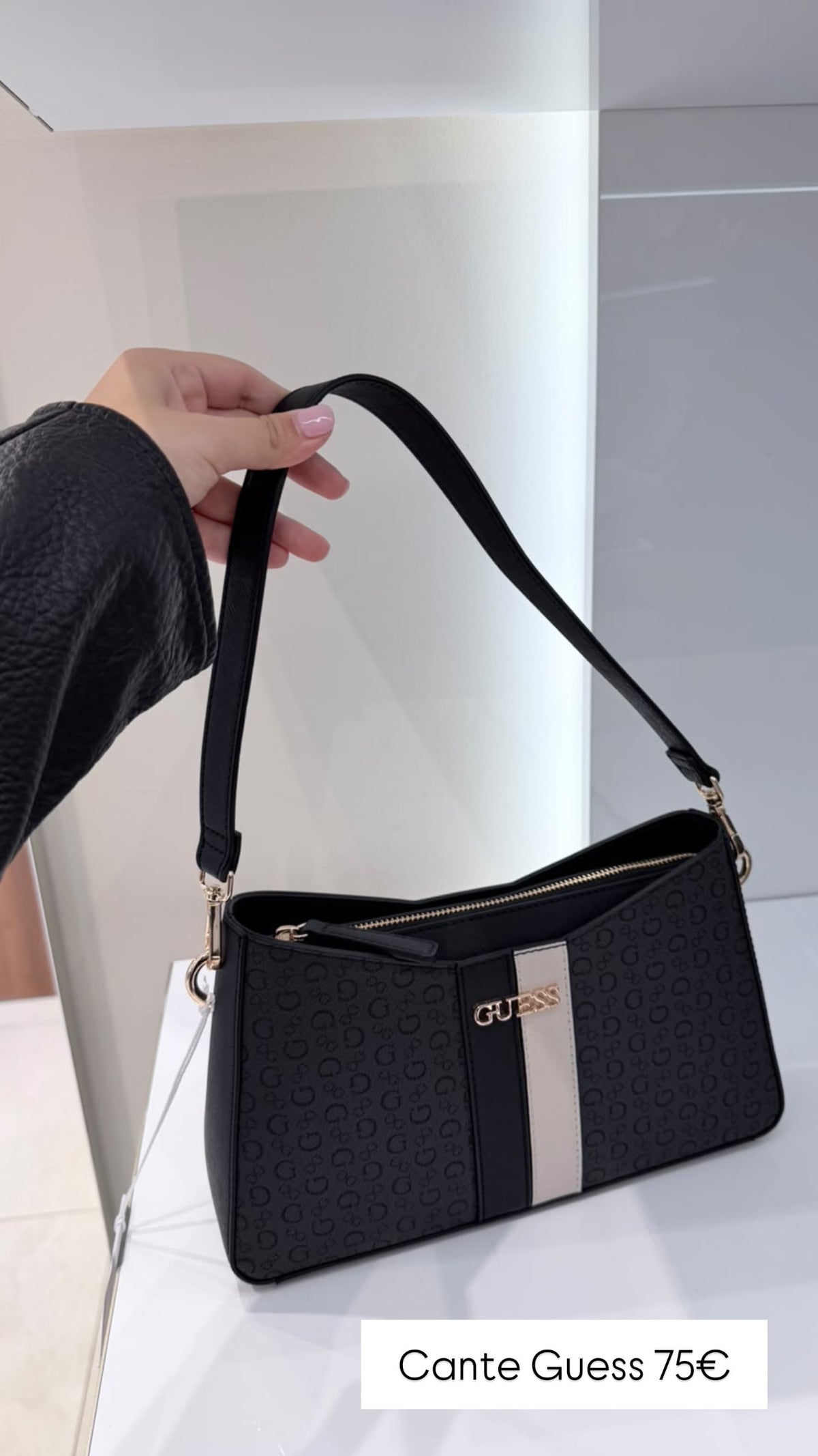 Cante Guess (FEMRA)(STOCK)