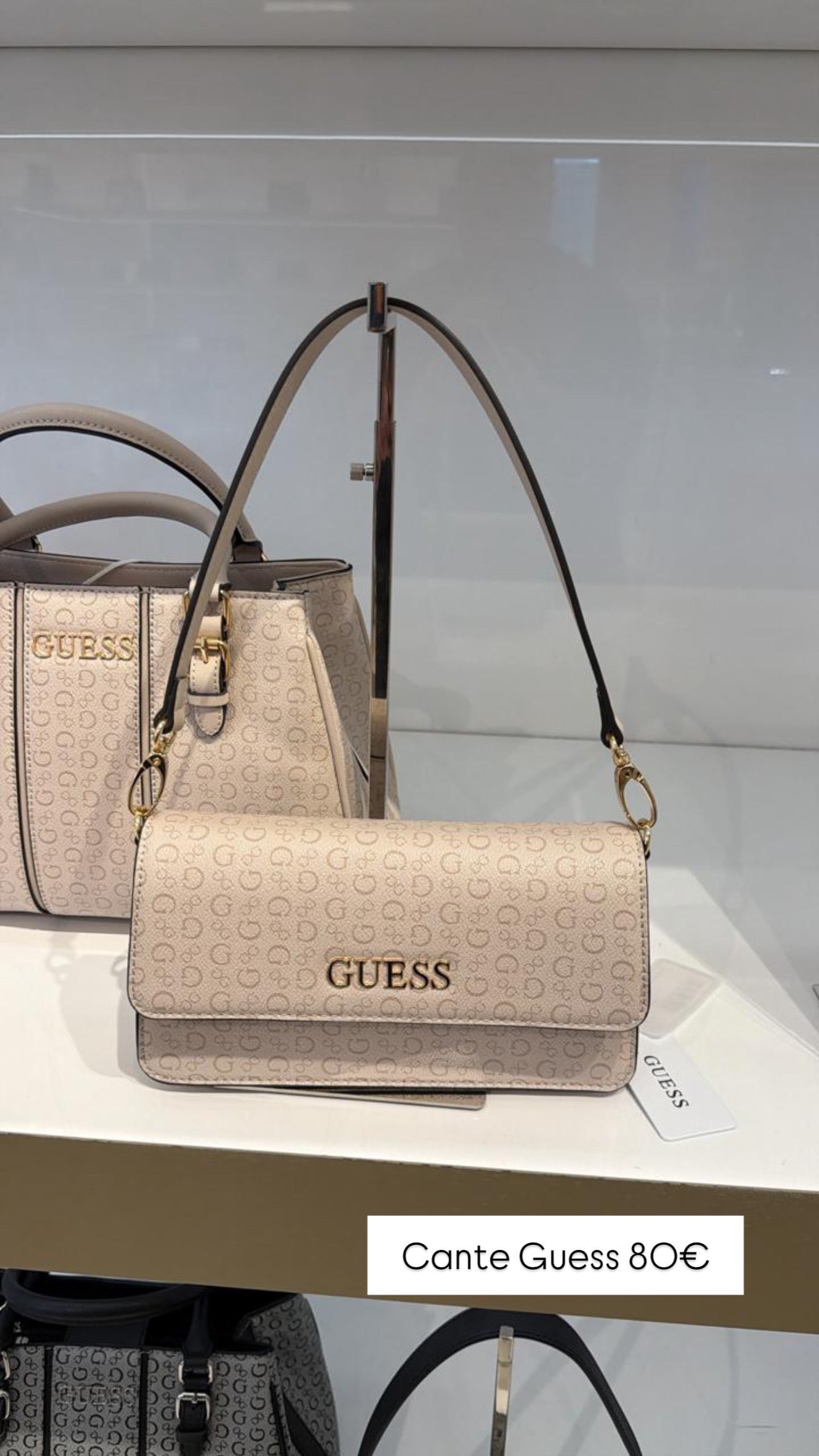 Cante Guess (FEMRA)(STOCK)