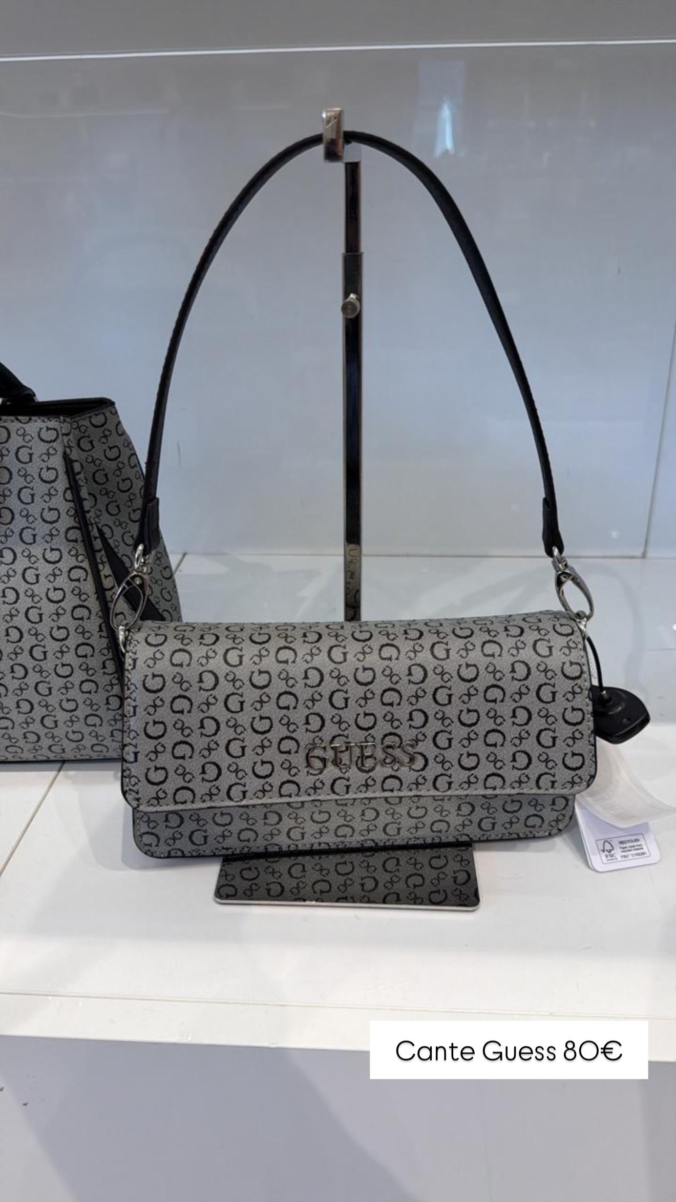 Cante Guess (FEMRA)(STOCK)