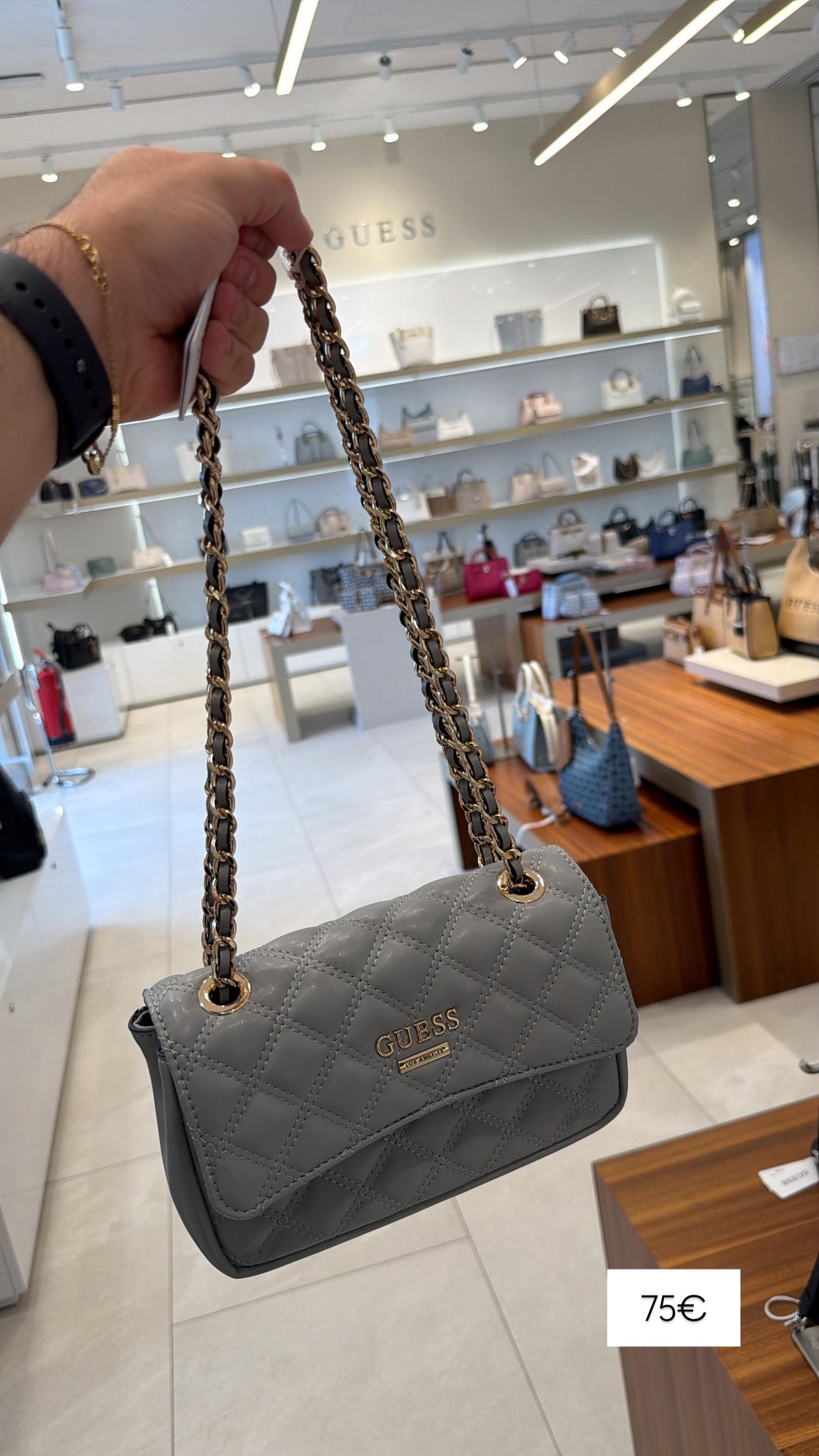 Cante Guess (FEMRA)(STOCK)